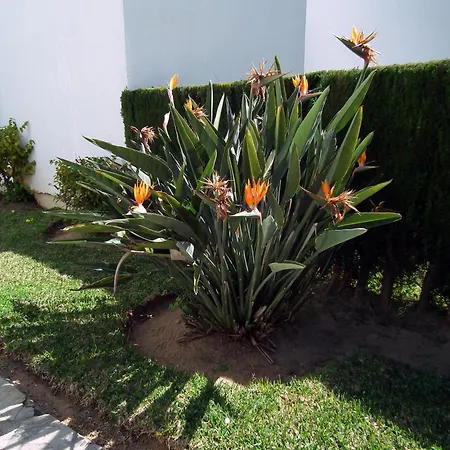 Playa Burriana Appartement Nerja